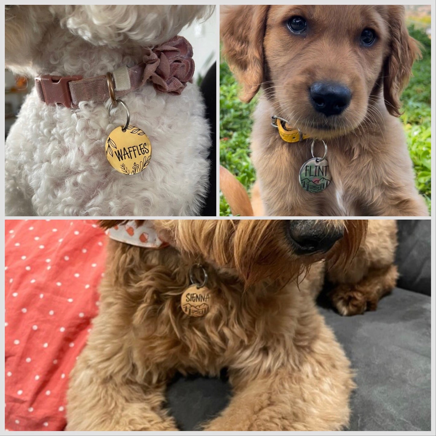 'Beach Trip' Pet ID Tag for Dogs and Cats - Personalized and Engraved Stainless Steel Pet ID Tag