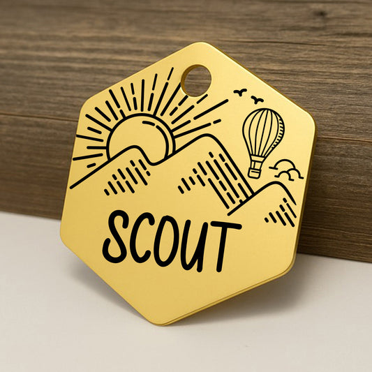 Hot Air Balloon Hexagon Pet ID Tag for Dogs and Cats - Personalized and Engraved Stainless Steel Pet ID Tag