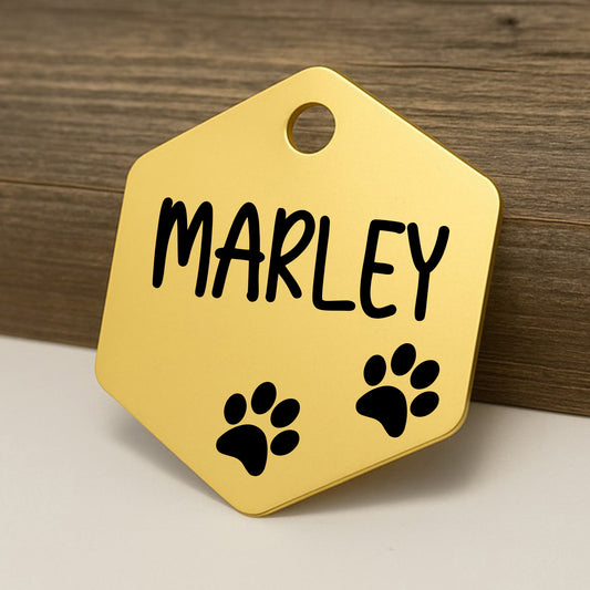 'Pawsitivity' Pet ID Tag for Dogs and Cats - Personalized and Engraved Stainless Steel Pet ID Tag with Paw Prints