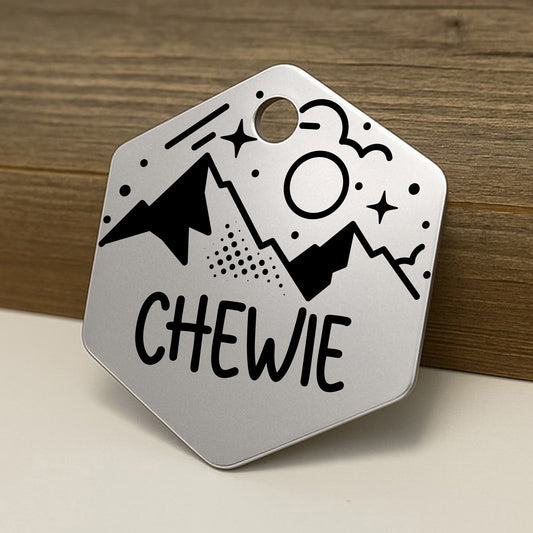 'Space Mountain' Hexagon Pet ID Tag for Dogs and Cats - Personalized and Engraved Stainless Steel Pet ID Tag