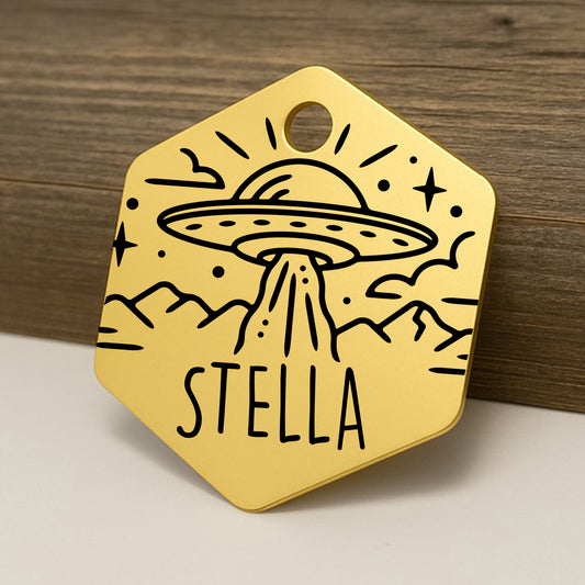 UFO Alien Hexagon Pet ID Tag for Dogs and Cats - Personalized and Engraved Stainless Steel Pet ID Tag